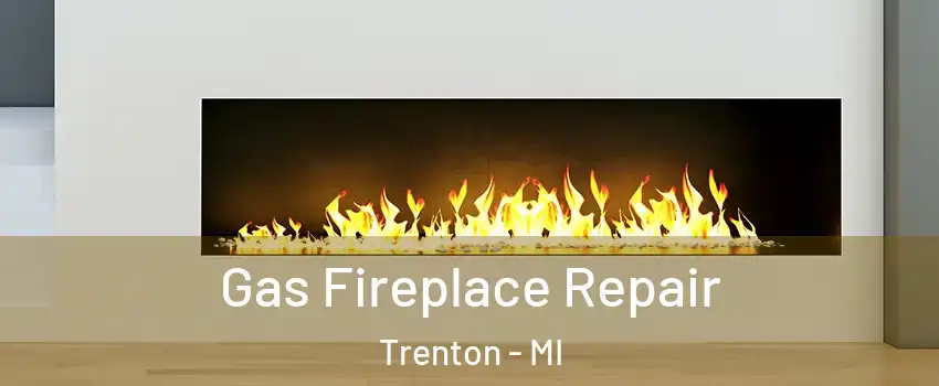  Gas Fireplace Repair Trenton - MI