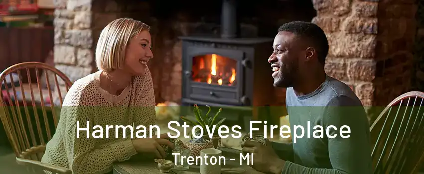  Harman Stoves Fireplace Trenton - MI