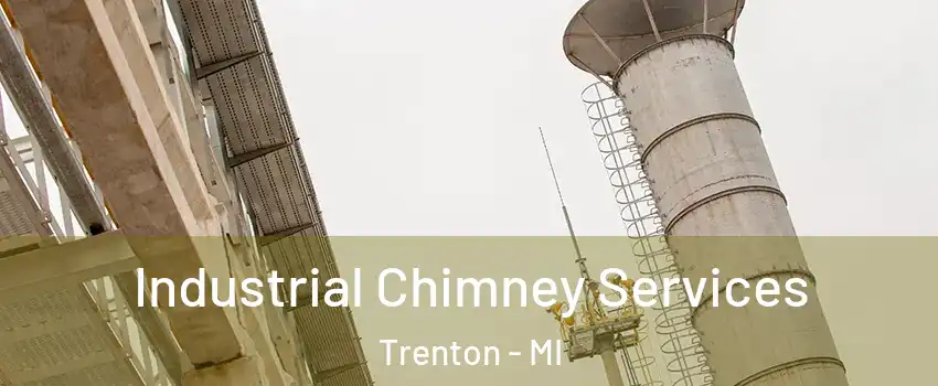  Industrial Chimney Services Trenton - MI