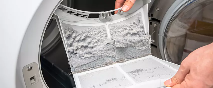 Best Dryer Lint Removal Company in Trenton, Michigan