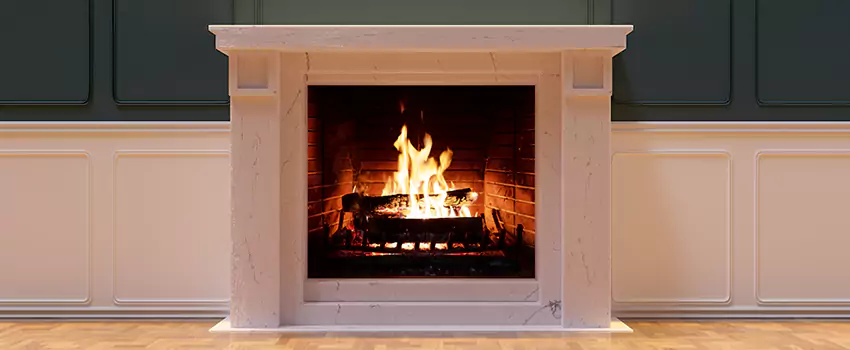 Empire Comfort Systems Fireplace Installation and Replacement in Trenton, Michigan