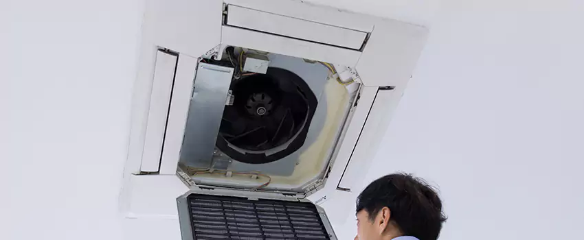 Benefits of Professional Air Duct Cleaning in Trenton, Michigan