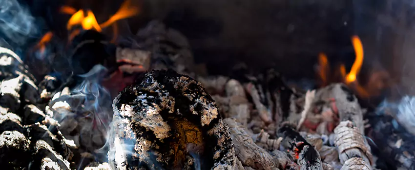 Creosote Removal Experts in Trenton, MI