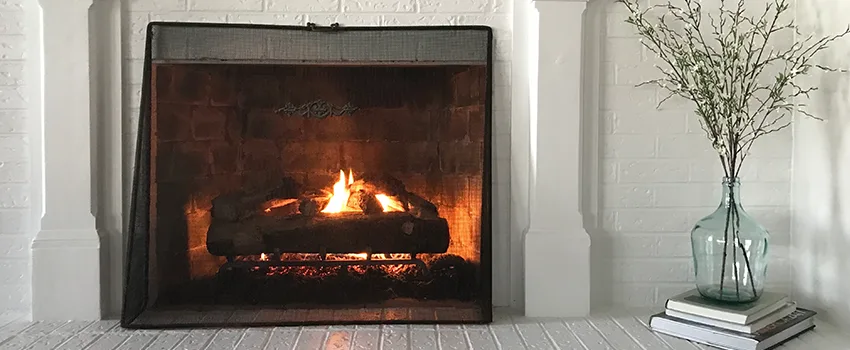 Cost-Effective Fireplace Mantel Inspection And Maintenance in Trenton, MI