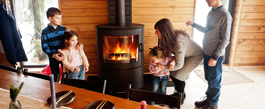 Jøtul Gas Fireplace Inspection Service in Trenton, Michigan