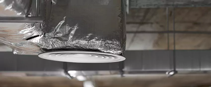 Signs of Dust Accumulation in Vents in Trenton, MI