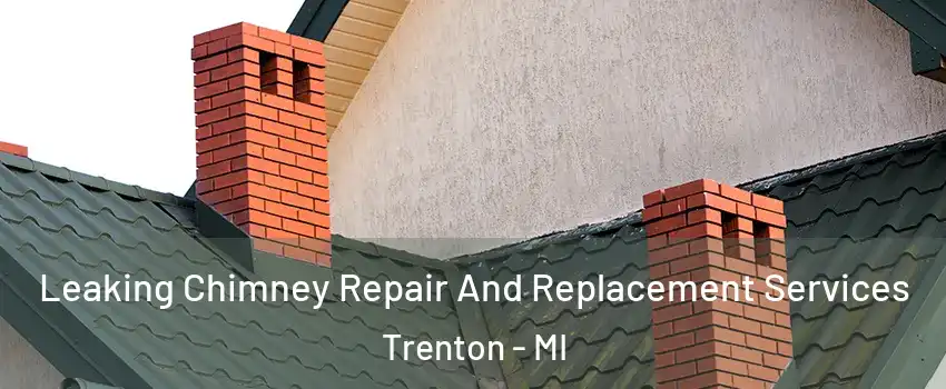  Leaking Chimney Repair And Replacement Services Trenton - MI