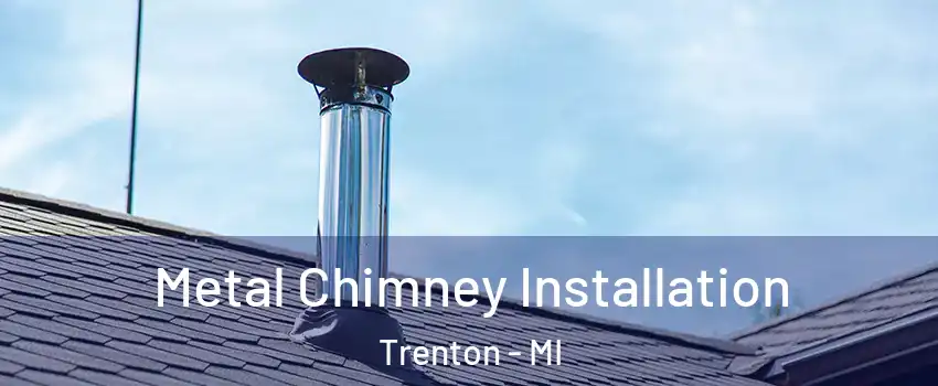  Metal Chimney Installation Trenton - MI