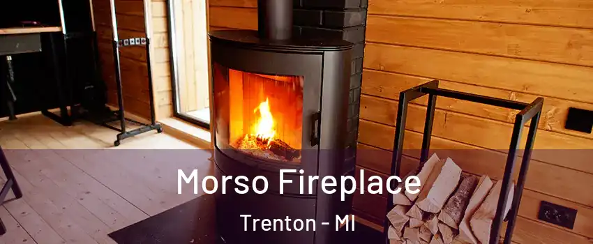  Morso Fireplace Trenton - MI