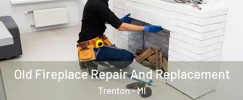 Old Fireplace Repair And Replacement Trenton - MI