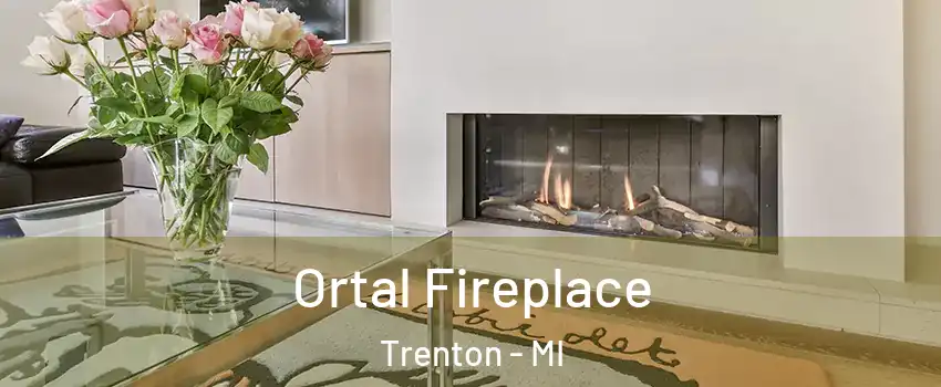  Ortal Fireplace Trenton - MI