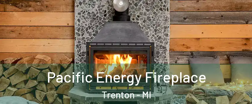  Pacific Energy Fireplace Trenton - MI