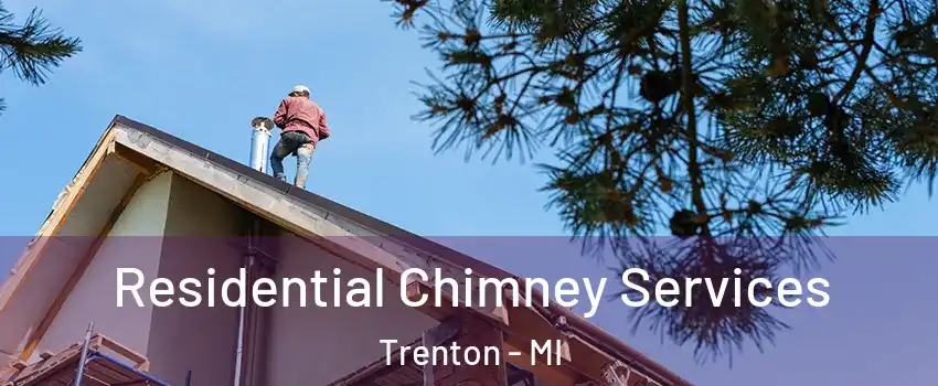  Residential Chimney Services Trenton - MI