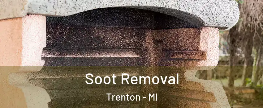  Soot Removal Trenton - MI