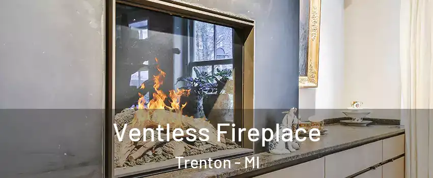  Ventless Fireplace Trenton - MI