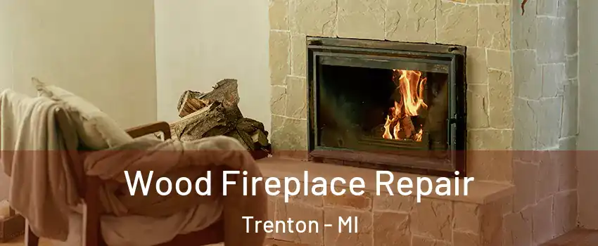  Wood Fireplace Repair Trenton - MI