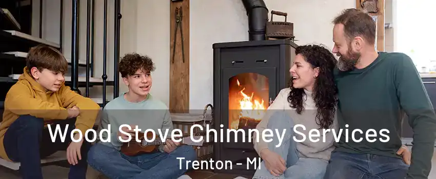  Wood Stove Chimney Services Trenton - MI