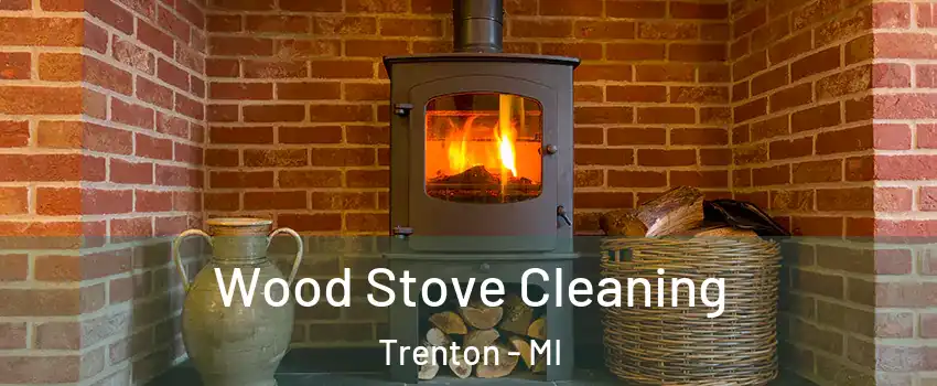  Wood Stove Cleaning Trenton - MI
