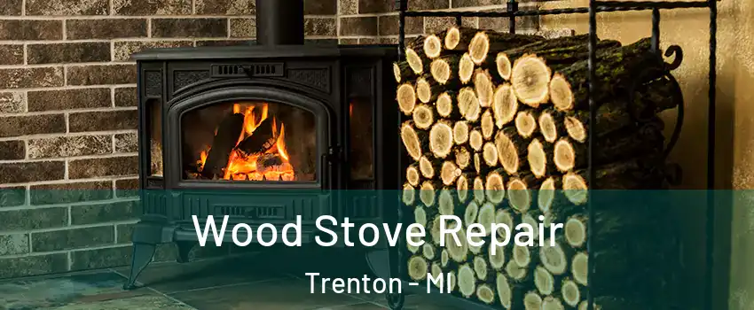  Wood Stove Repair Trenton - MI